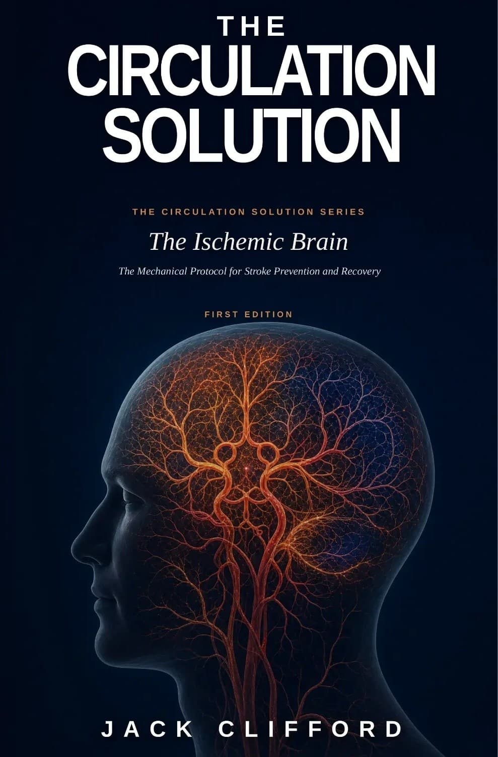 The Ischemic Brain cover