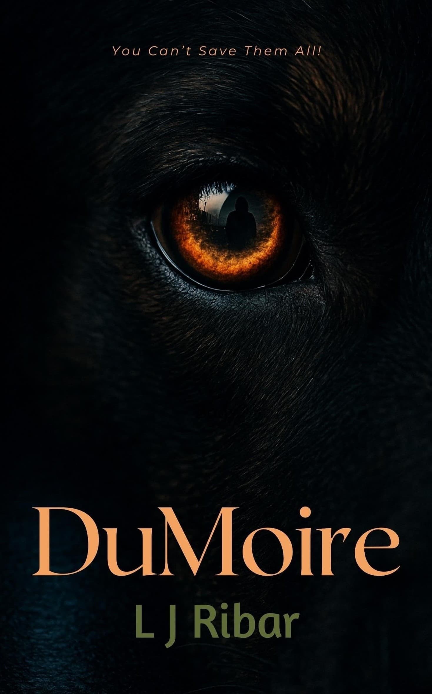 DuMoire cover