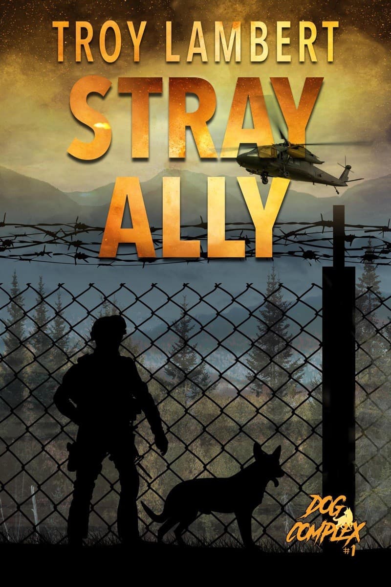 Stray Ally cover